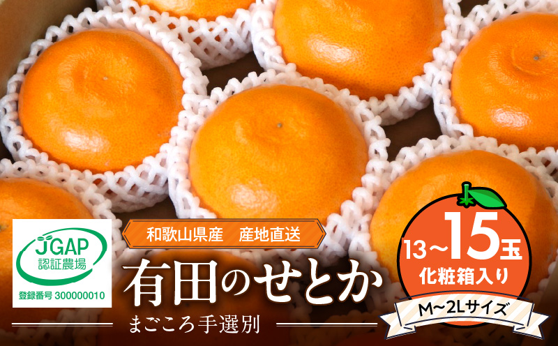 ZE6497_【2026年先行予約】【まごころ手選別】　せとか　化粧