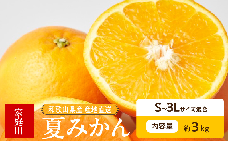 ZE6506_【2026年先行予約】和歌山県産　夏みかん　3kg　家庭用