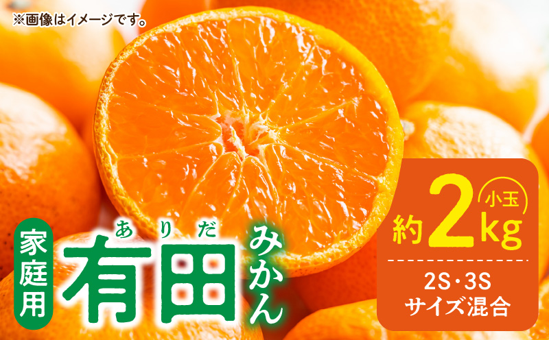 DZ6220_家庭用 有田みかん 和歌山 小玉(2S,3Sサイズ混合) 約2kg