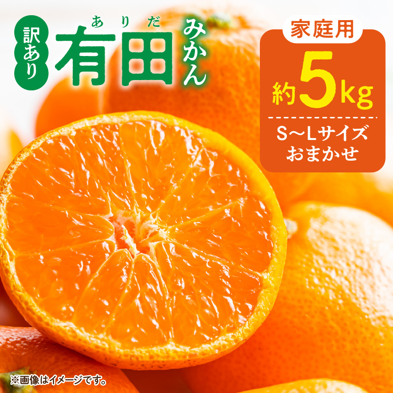 DZ6202_01_【2027年1月発送】ご家庭用 有田みかん 和歌山県産 S