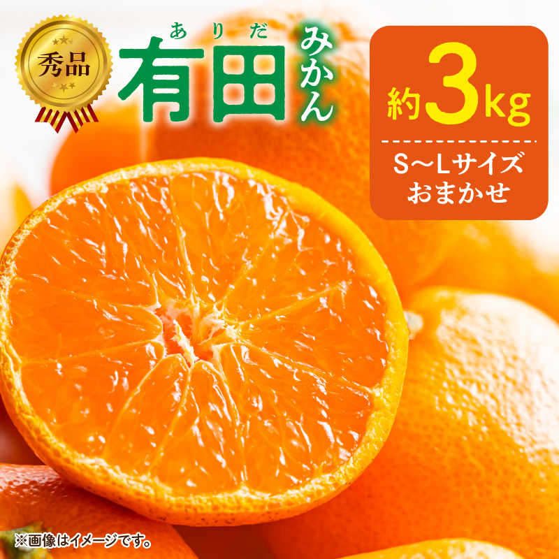 DZ6009n_11_【2026年11月発送】秀品 有田みかん 和歌山県産 S～L