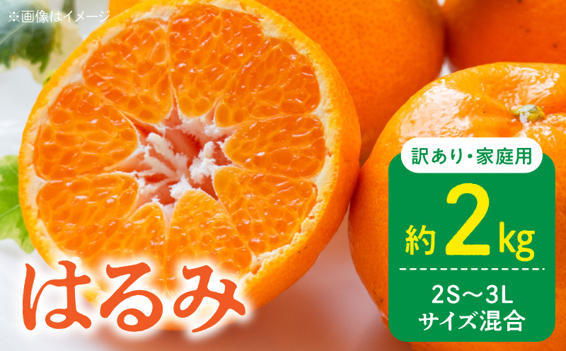 DZ6219_【2026年先行予約】訳あり 家庭用 はるみ 和歌山 有田 2