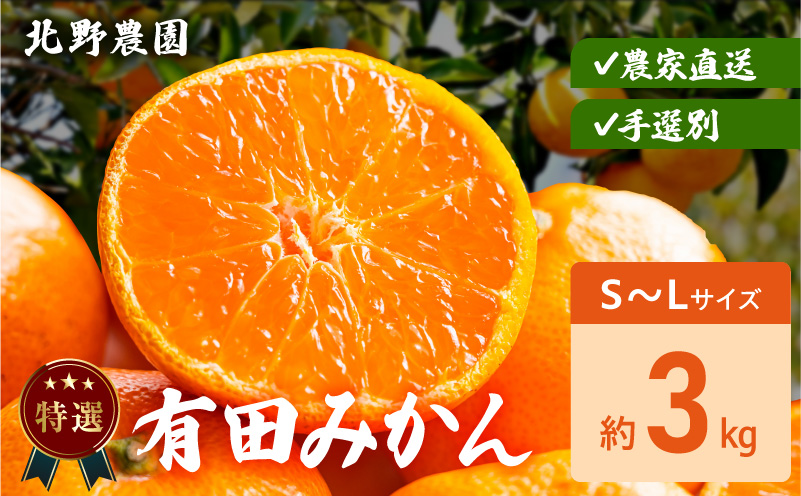 DZ6233_【2026年先行予約】特選 有田みかん 和歌山 S～Lサイズ 