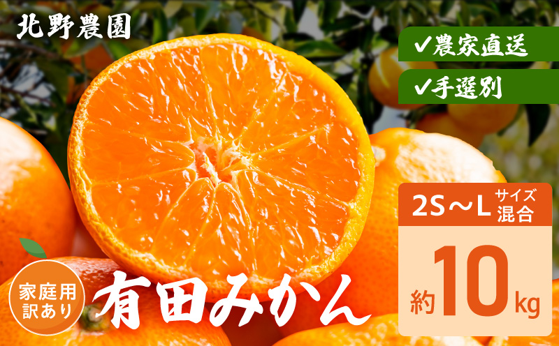 DZ6235_家庭用 訳あり 有田みかん 和歌山 2S～Lサイズ混合 約10