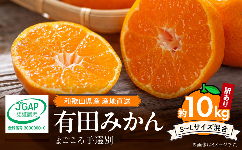 ZE6424_【2026年先行予約】【家庭用】 和歌山県産　有田みか