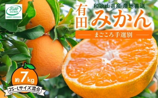 ZE6518_【2026年先行予約】【秀品】和歌山県産 有田みかん 約7