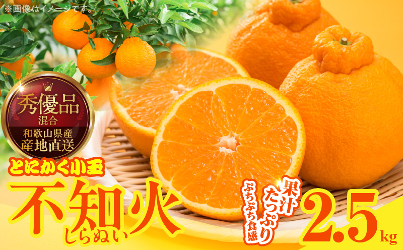 MK1018_不知火 (しらぬい) とにかく小玉 箱込 2.5kg (内容量約2.3