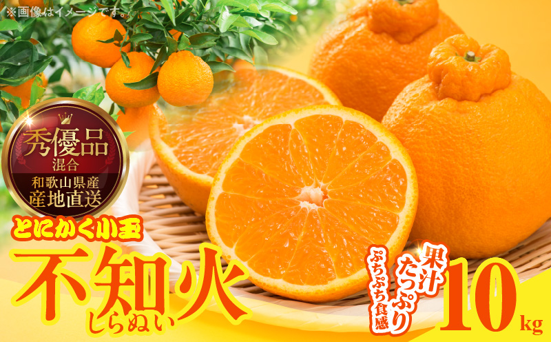 MK1015_不知火 (しらぬい) とにかく小玉 箱込 10kg (内容量約9.2k