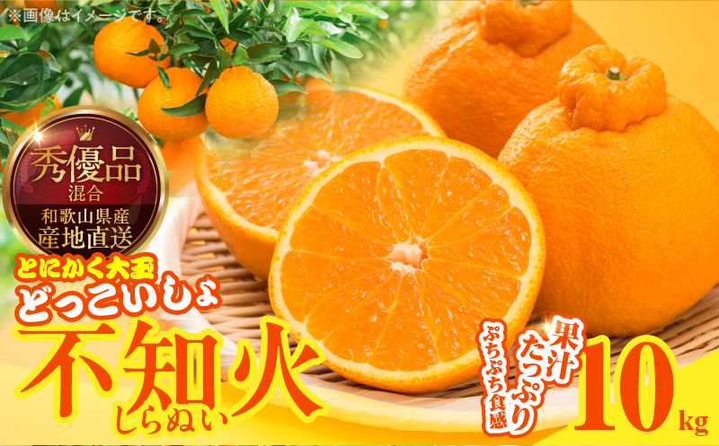 MK1012_不知火 (しらぬい) とにかく大玉 どっこいしょ 箱込 10k