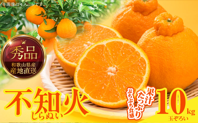 MK1010_不知火 (しらぬい) 秀品 玉ぞろい 箱込 10kg (内容量約9.2