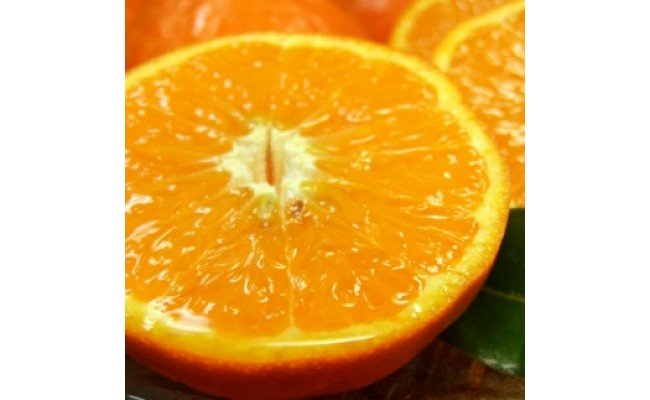 V7417_セミノールオレンジ [約5kg] 和歌山県有田産 春みかん (