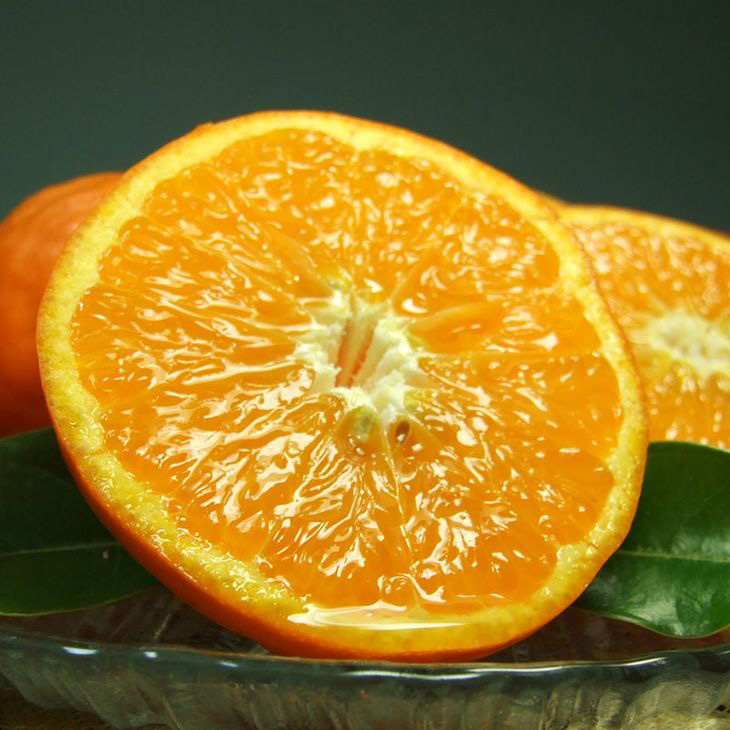 V7032_セミノールオレンジ 約2.8kg 湯浅町田村産 春みかん （