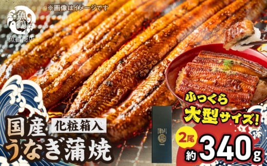 G7005_大型サイズ ふっくら柔らか 国産うなぎ 蒲焼き 2尾 (約4