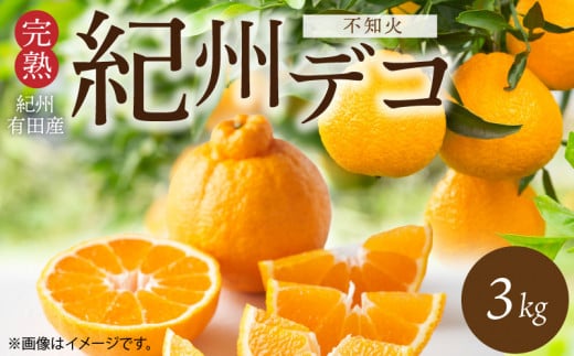 G7360_【2026年先行予約】デコポン 紀州デコ 3kg 完熟 濃厚 国