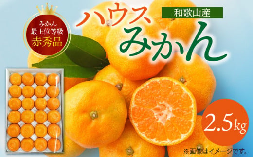 G6029_【2026年先行予約】紀州和歌山 ハウスみかん 2.5kg 赤秀