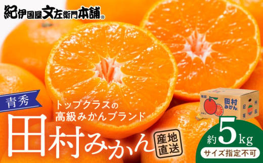 V7450_田村みかん／5kg青秀／サイズ指定なし