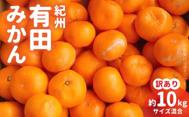 ZD92069_エコファーマーのこだわり 有田みかん 10kg (サイズ混