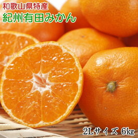 ZD7015_【2026年先行予約】【秀品】 和歌山 有田みかん 6kg（2L