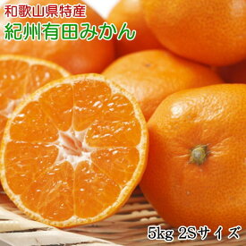 ZD7013_【2026年先行予約】【秀品】和歌山 有田みかん 5kg（2S