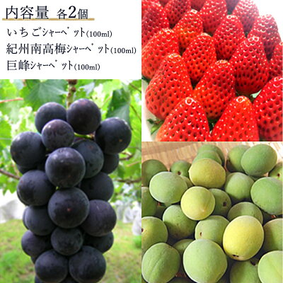 AV6001n_果物たっぷり ジェラート 6個 セット【デザート スイ