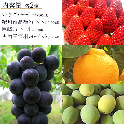 AV6002n_果物たっぷり ジェラート 8個 セット【デザート スイ