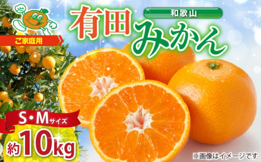 ZJ6077_ご家庭用　和歌山 有田みかん 約10kg (S、Mサイズ)【湯