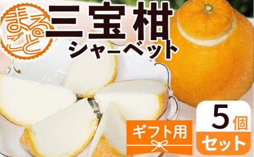 ZP6009_GFTn_【ギフト用】まるごと 三宝柑 シャーベット 5個 セ