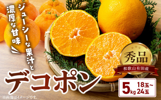 BD6004n_【2026年先行予約】デコポン 秀品 約 5kg 18 ～ 24玉 不知