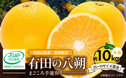 ZE6154n_【2026年先行予約】有田の八朔 (はっさく) 10kg  (2S～Mサ