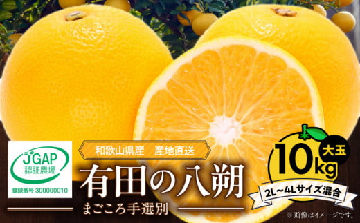 ZE6155n_【2026年先行予約】有田の八朔 (はっさく) 10kg  (2L～4L
