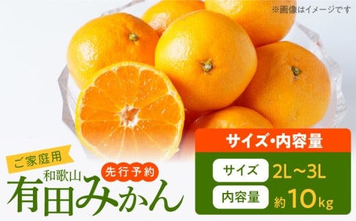 AT6314_ご家庭用　和歌山有田みかん 約10kg (2L、3Lサイズ)【湯