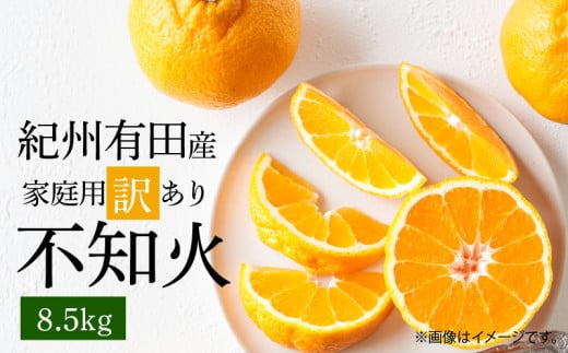 G7359_【2026年先行予約】紀州有田産 不知火 (しらぬい)【家庭