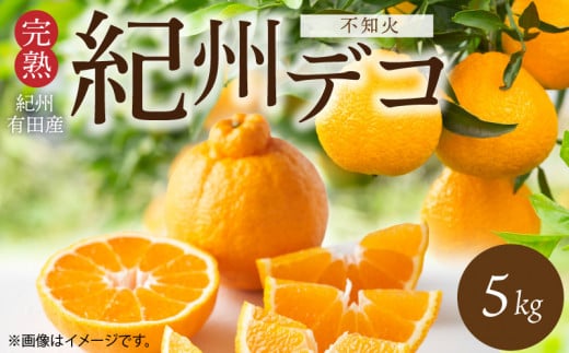 G7361_【2026年先行予約】期間限定 紀州デコ 約 5kg 完熟 紀州