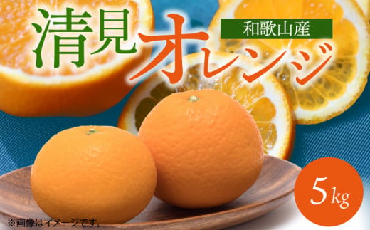 G7066_【2026年先行予約】とにかくジューシー 清見 オレンジ 5