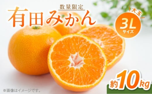 BF6012n_【数量限定】 有田みかん 大玉 3Lサイズ 10kg 【ミカン