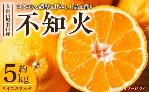 V7412_デコ 不知火 約5kg 和歌山県有田産 春みかん (果実サイ