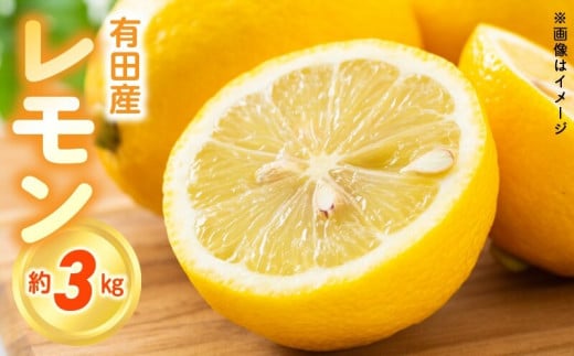 ZN6008n_ 【2026年先行予約】和歌山県 有田産 レモン 3kg【国産