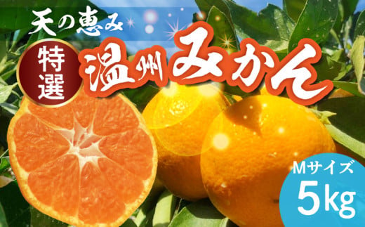 H6005_天の恵み 温州みかん Mサイズ 特選 5kg【ミカン 蜜柑 柑