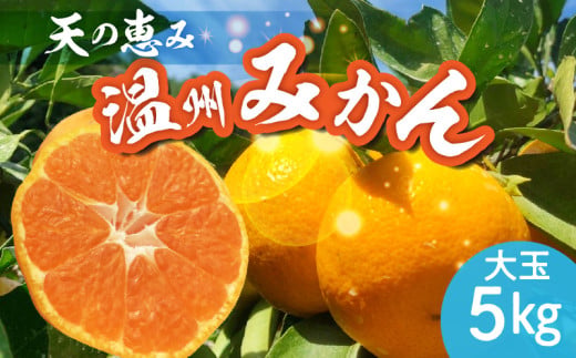 H6004n_天の恵み 温州みかん 大玉5kg【ミカン 蜜柑 柑橘 温州