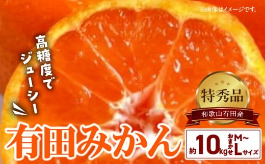 BD6034n_高糖度 有田みかん 特秀品 10kg (M～Lサイズおまかせ)【