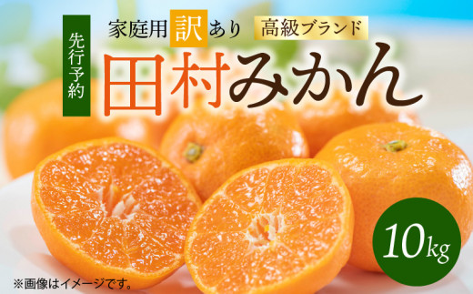 G7053_【2026年11月下旬より発送】高級ブランド 田村みかん 10k