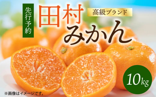 G7341_【2026年11月下旬より発送】高級ブランド 田村みかん 10k