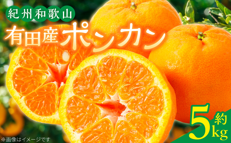 G7055_【2027年先行予約】紀州和歌山有田産 ポンカン 5kg