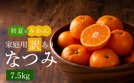G7073_【2026年先行予約】初夏のみかん なつみ 7.5kg【家庭用