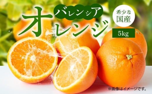 G7079_ 希少 国産 秀品 バレンシアオレンジ 5kg 果汁 豊富 糖度