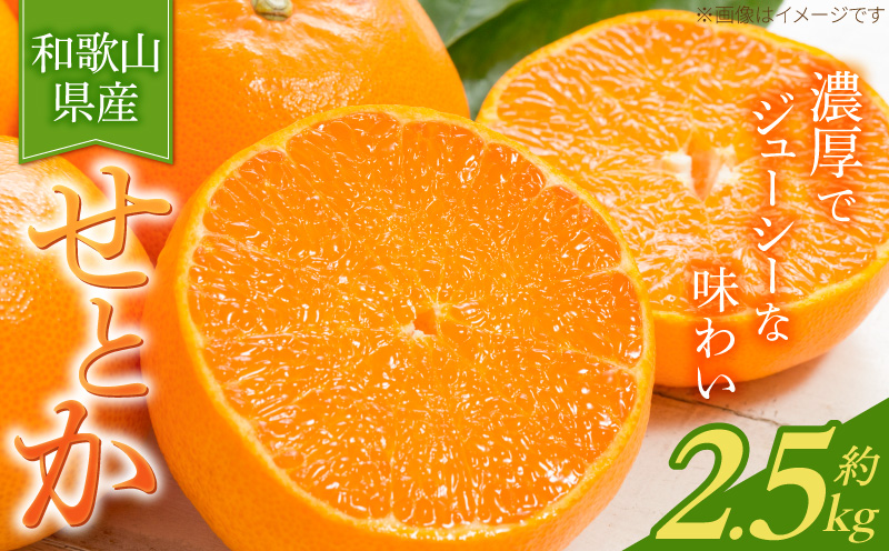 G7349_【2027年先行予約】とろける食感！ジューシー柑橘 せと