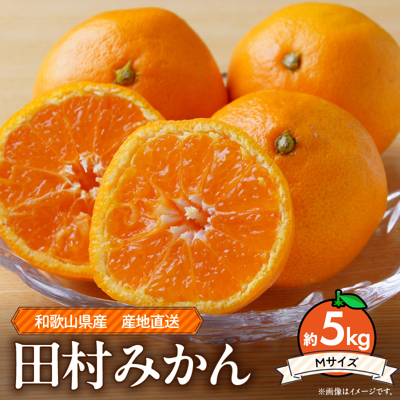 ZE6342n_和歌山 湯浅町産 田村みかん 5kg【Mサイズ】