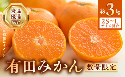 BF6031n_数量限定 期間限定 有田みかん 約 3kg 2S～Lサイズ サイ