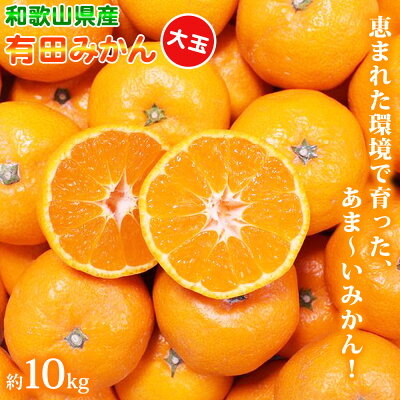 ZN6004n_ （大玉） 和歌山県産 有田みかん 10kg ひとつひとつ手