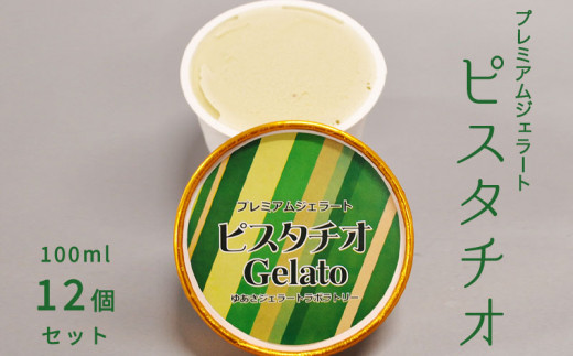 V6241_プレミアムジェラート／ピスタチオ 12個セット／ジェ